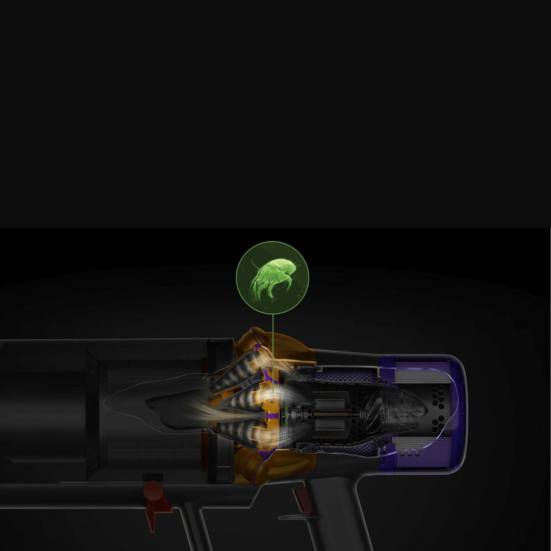 Aspirateur sans-fil Dyson V15 Detect™ Absolute + Accessoires